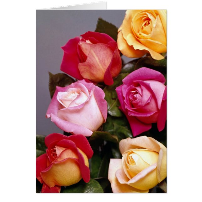 Rose Elegance Cards (Front)