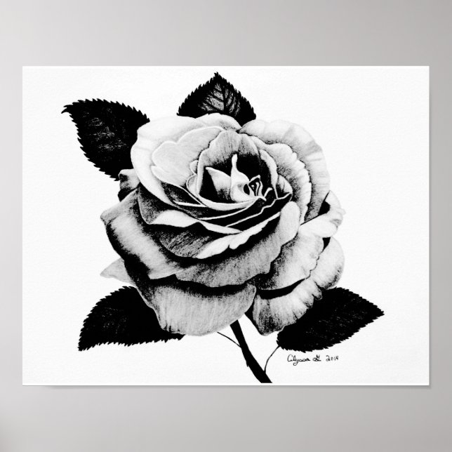 Rose Engraved 11x14 Poster (Front)