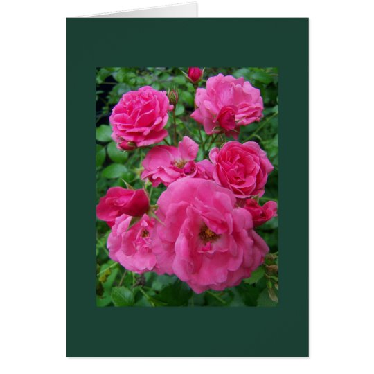 Rose Family Card