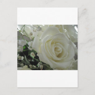 Rose Floral Postcard