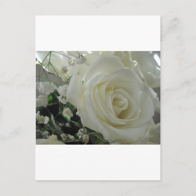 Rose Floral Postcard (Front)