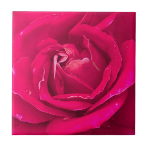 Rose flower ceramic tile