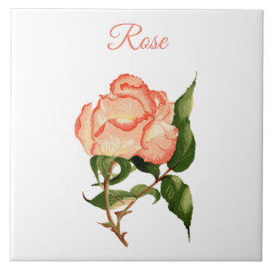 Rose flower peach and pink botanical watercolor ceramic tile