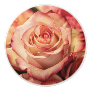 Rose Flower Petals Ceramic Drawer Cabinet Knob