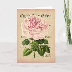Rose flower vintage feminine floral greeting card
