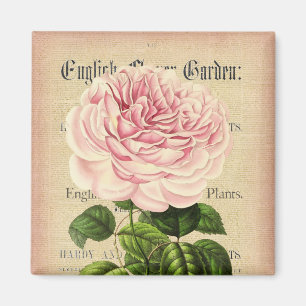 Rose flower vintage feminine floral magnet