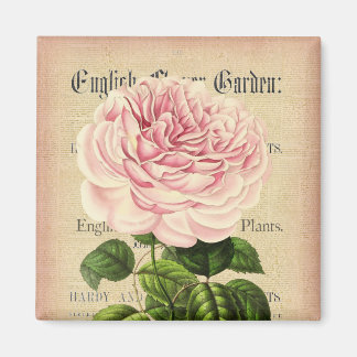 Rose flower vintage feminine floral magnet
