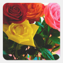 rose flowers bouquet