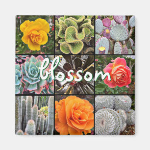 Rose Flowers Cacti Photo Collage Blossom Script Magnet