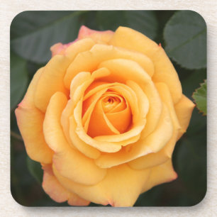 rose flowers flower  love wife sweetheart couple coaster