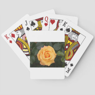 rose flowers flower  love wife sweetheart couple playing cards