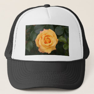rose flowers flower  love wife sweetheart couple trucker hat