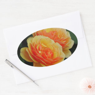 Rose Flowers in Bloom / Orange / Envelope Seals