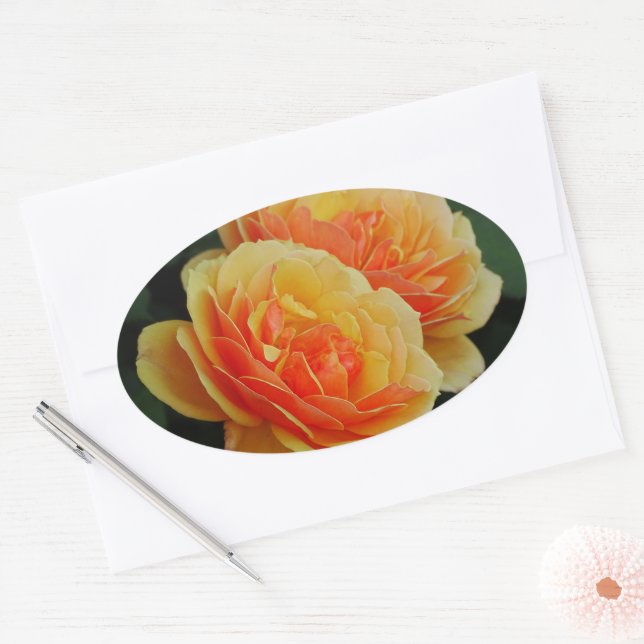 Rose Flowers in Bloom / Orange / Envelope Seals (Envelope)