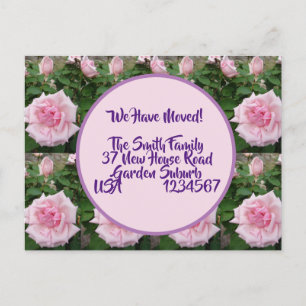 Rose Flowers New Address Postcard, We Are Moving Postcard