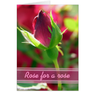 Rose for a rose red rose bud