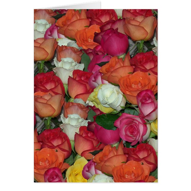 rose galore (Front)