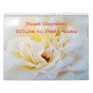 Rose Garden! Calendars Photography White to Red