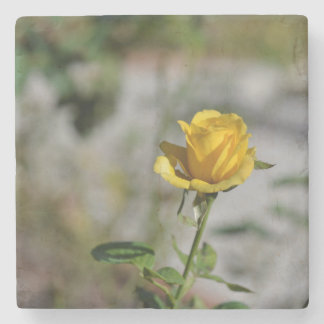 Rose Garden Coaster Collection 2 of 4