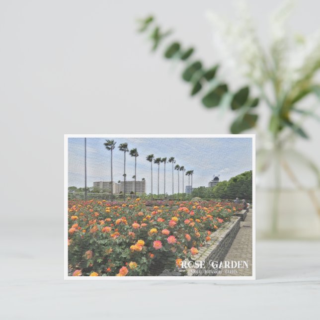 Rose Garden (Nagai Botanical Garden) Postcard (Standing Front)
