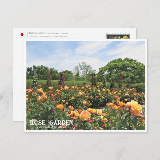 Rose Garden (Nagai Botanical Garden) Postcard (Front/Back)
