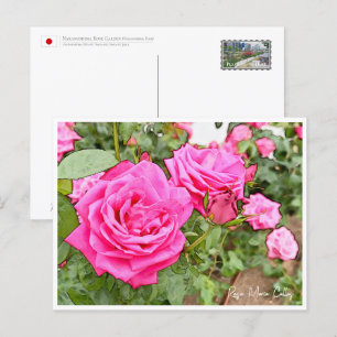 Rose Garden Postcard