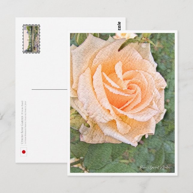 Rose Garden Postcard (Front/Back)