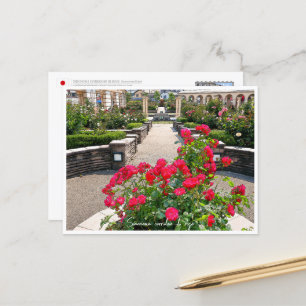 Rose Garden Postcard