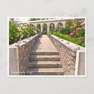 Rose Garden Postcard