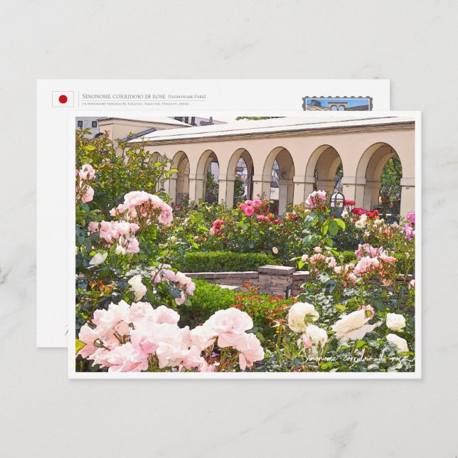 Rose Garden Postcard (Front/Back)