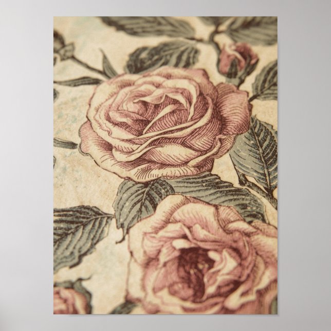 Rose Garden Sketch Poster (Front)