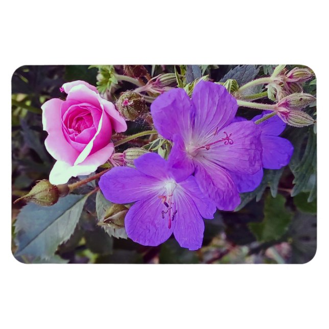 Rose & Geranium Large personalised photo magnet (Horizontal)
