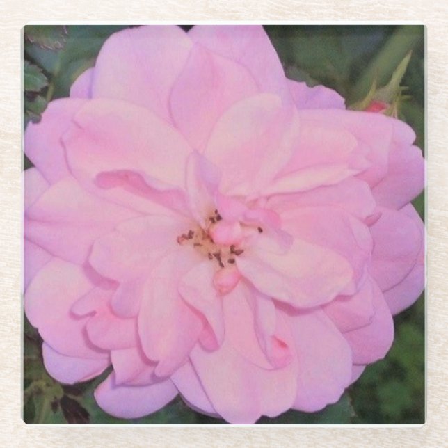 Rose Glass Coaster (Front)