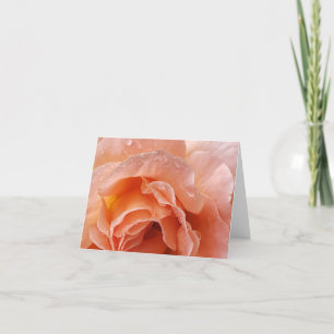 rose glistening after rain notecard
