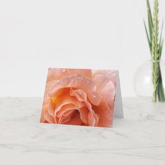 rose glistening after rain notecard