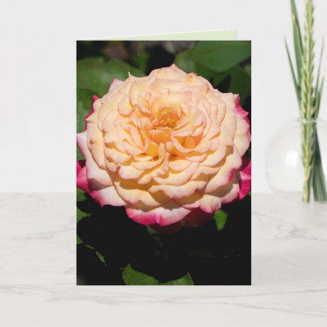 Rose Glory Card (Front)
