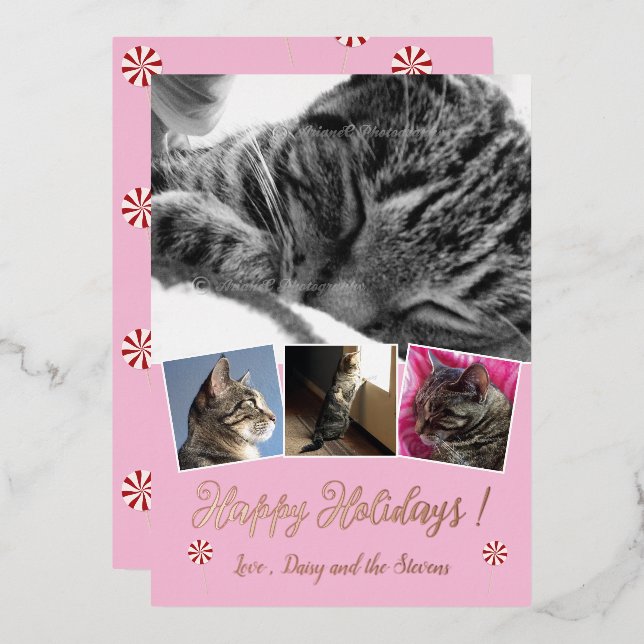 Rose Gold Foil Cat Photo Collage Pink Holiday Card (Front/Back)