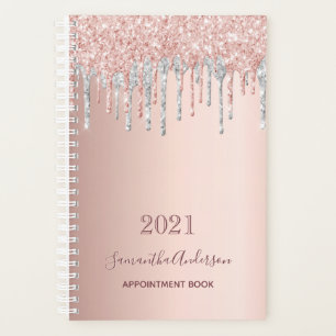 Rose gold glitter silver appointment book 2027 planner