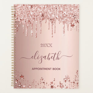 Rose gold pink stars 2026 planner