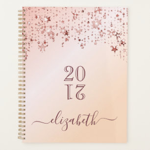 Rose gold stars appointment book 2026 planner