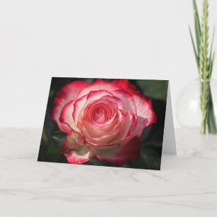 Rose Greeting Card