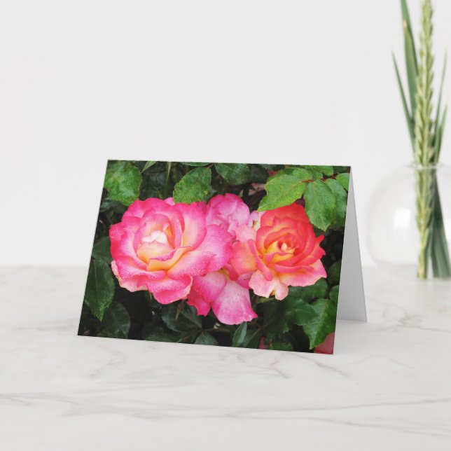 Rose greeting card (Front)