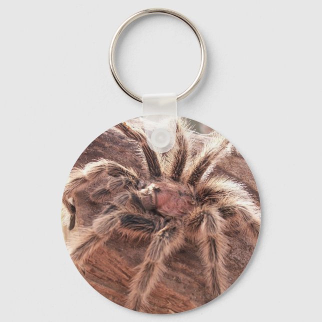 Rose Hair Tarantula Key Ring (Front)