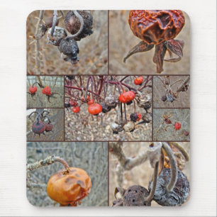 Rose Hip Collage Mouse Pad