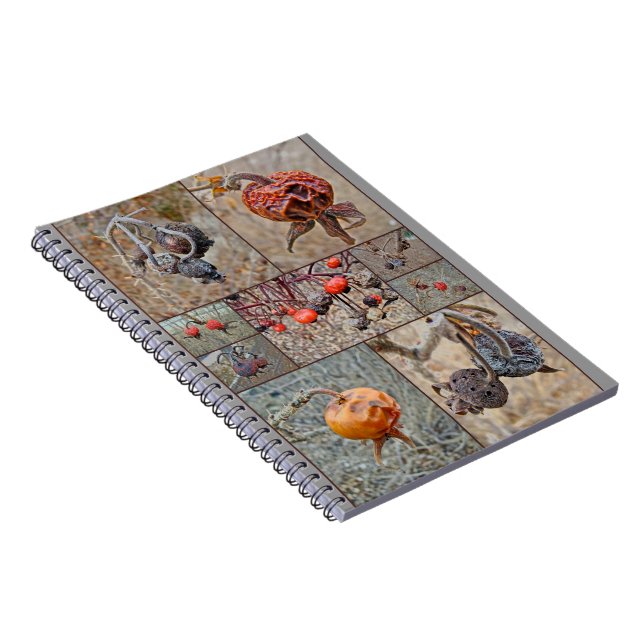 Rose Hip Collage Notebook (Right Side)