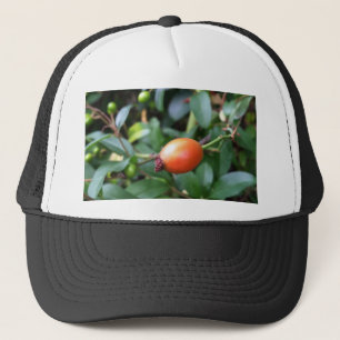 Rose hip ripen trucker hat
