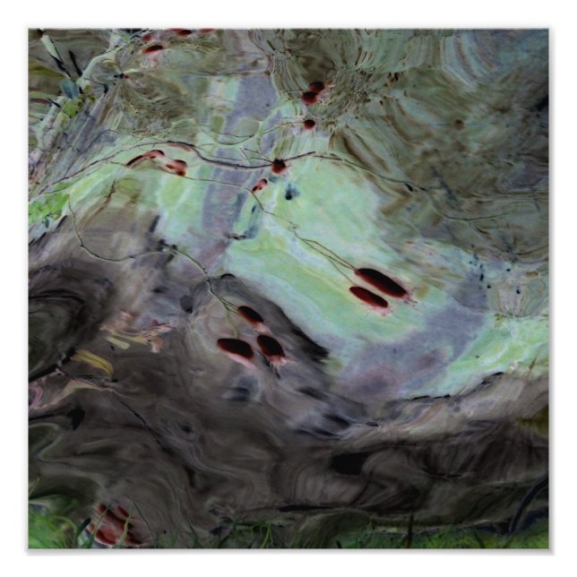 "Rose Hips" Abstract Edited Reflection in Mylar Photo Print (Front)