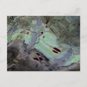 "Rose Hips" Abstract Edited Reflection in Mylar Postcard