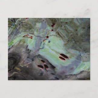 "Rose Hips" Abstract Edited Reflection in Mylar Postcard