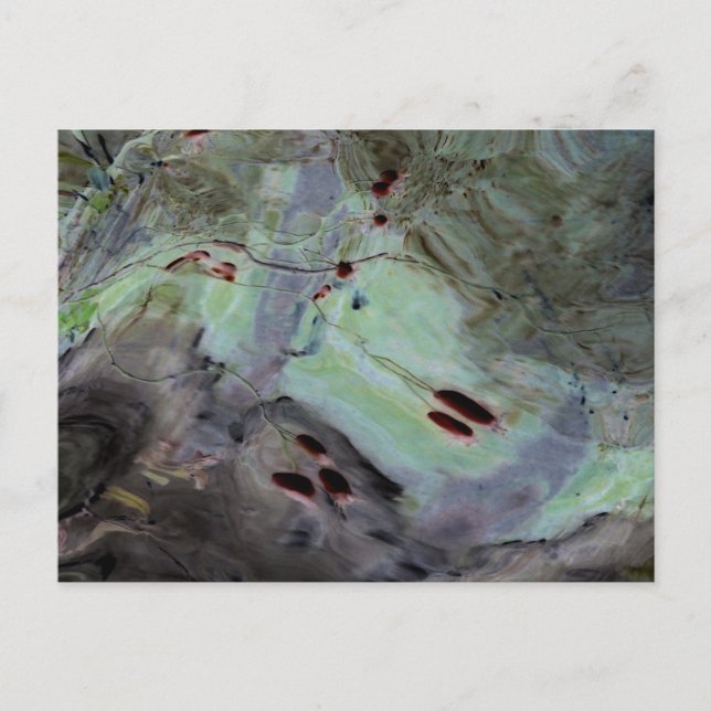 "Rose Hips" Abstract Edited Reflection in Mylar Postcard (Front)